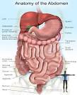 Abdominal Pain Causes, Symptoms, Diagnosis and Treatment by ...