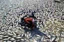 The Price of China's Pollution, and Its Environmental Catch-22 ...