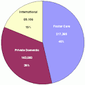 Adopted Children with Special Health Care Needs: Characteristics ...