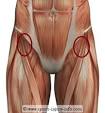 Learn About Hip Flexor Injury - Sports Injury Info