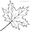 Leaves coloring page