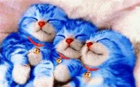 Add Friend� width=