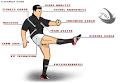 BBC SPORT | Rugby Union | Six Nations | Anatomy of a rugby team