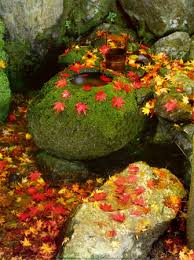 images?q=tbn:ANd9GcQy8hwsuv5Xs28mXnQ3JOC5Xi5lz8X1fznjEweb5vTfCvvicfQr