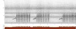 XC35752 Rufous-winged Philentoma (Philentoma pyrhoptera) :: xeno-