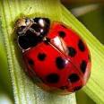 Week 5. It’s A Bugs (and Kid’s) World Camp – July 30th to August 3rd