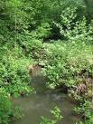 This woodland stream, leads from Oxpasture Wood, through Jews Wood and into - via Daymix