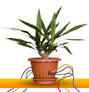 L-QUERY.html