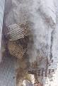 Collapse of the World Trade Center - Engineering News Record