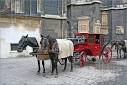http://www.featurepics.com/FI/Thumb300/20070122/Horses-Horse-Coach-196972.jpg