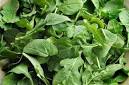 ARUGULA | Mediterranean Diet