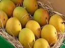Alphonso Mango Pulp | Exporter of Alphonso Mango Pulp