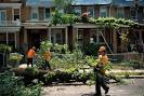 Derecho | The Rapture Is Imminent!