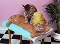 Cat Rub | Funny Cat Pictures | Entertainment