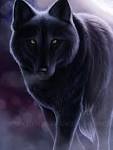 Darkwolf