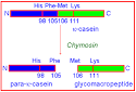 Recombinant Chymosin
