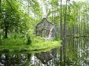 Cypress Gardens South Carolina