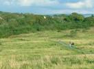 SN5413 : Grassland Path at - via Daymix