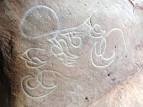 images?q=tbn:ANd9GcR-AuVe_NAueHkOcPUNAe7