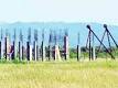 States wish list puts govt in a bind over land law | Business.