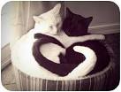 Doesnt matter if youre black or white.