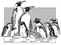 Penguin Adaptation