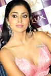 Genelia D'souza VS Shreya