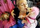 Dog Fads Fur Dying 18