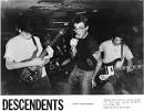 QM :: R.I.P. Frank Navetta (Descendents Co-Founder) : Quit Mumbling