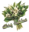 ط®ظ„ظٹط¬ظٹط©