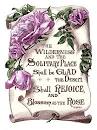 Inspirational Bible Scriptures   Image 7