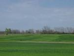 Experiment 301, Long-Term Application of Biosolids in Winter Wheat ...