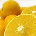 Ark of Taste : Meyer Lemon of California's Central Coast : Slow ...