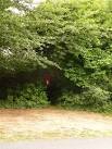 Affpuddle: postbox № DT2 177, Roger's Hill - via Daymix