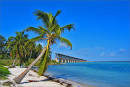 Trazzler | Bahia Honda State Park