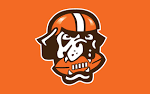 CLEVELAND BROWNS | Large HD Wallpaper Database