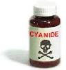 Toxic causes of Parkinson's Disease