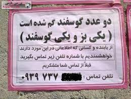 عکس های با حال 2 1