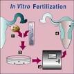 Age And Success Of Assisted Reproductive Technology from ...