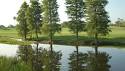Cypress Links Golf Course St. Petersburg