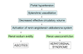 <b>Hepatorenal syndrome</b>