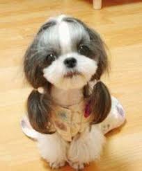 http://t3.gstatic.com/images?q=tbn:ANd9GcR1AHsu37Blmi5pjbawzp757COVA0F4QZvoFsmRu3muzuiyRNBDXw