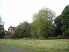 Lyttelton Meadow, Grundisburgh. This small meadow near Gurdon Road in - via Daymix