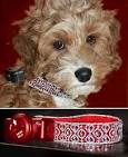 The Luxury HubWorld's first diamond-studded collar for pets: Love ...