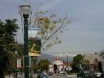 Claremont, CA : View from Indian Hill Blvd photo, picture, image ...