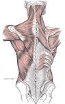 Fig. 409