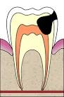 See full size image
