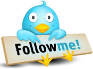 Twitter Follow Button