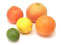 Cook's Thesaurus: Citrus Fruit