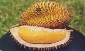 DURIAN, Raja Buah yang Kontroversial